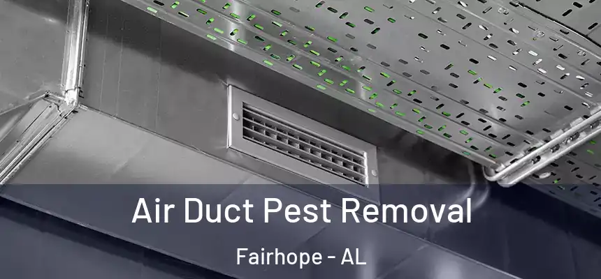  Air Duct Pest Removal Fairhope - AL