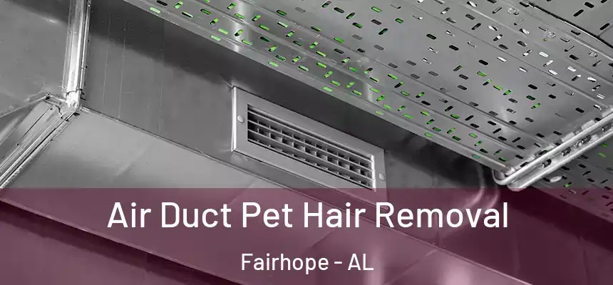 Air Duct Pet Hair Removal Fairhope - AL
