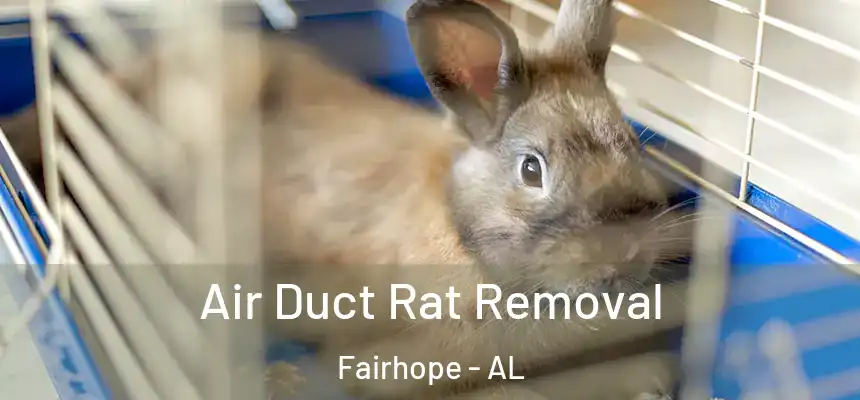 Air Duct Rat Removal Fairhope - AL