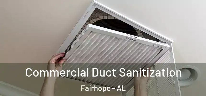  Commercial Duct Sanitization Fairhope - AL