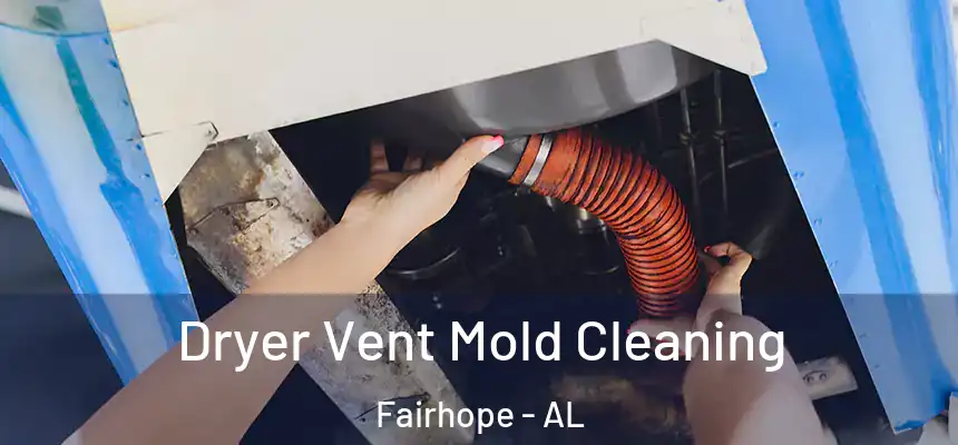  Dryer Vent Mold Cleaning Fairhope - AL