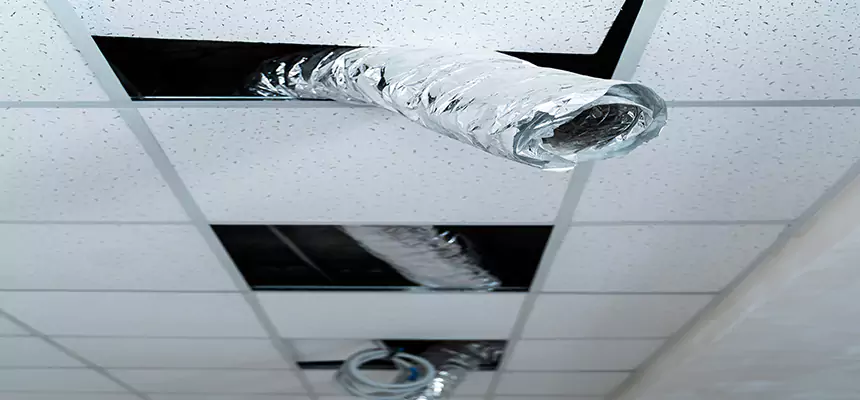 Affordable HVAC Sanitizing After Pest Removal in Fairhope