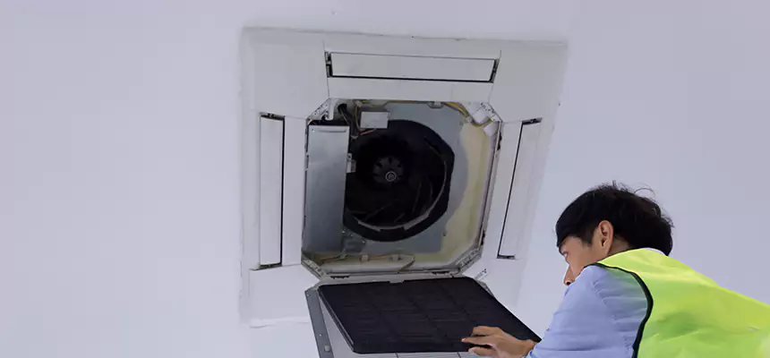 Our Dryer Vent Sanitization Service Services in Fairhope, AL