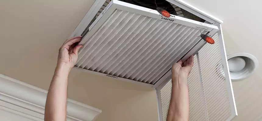 Our Insect Removal from Air Ducts Services in Fairhope, AL