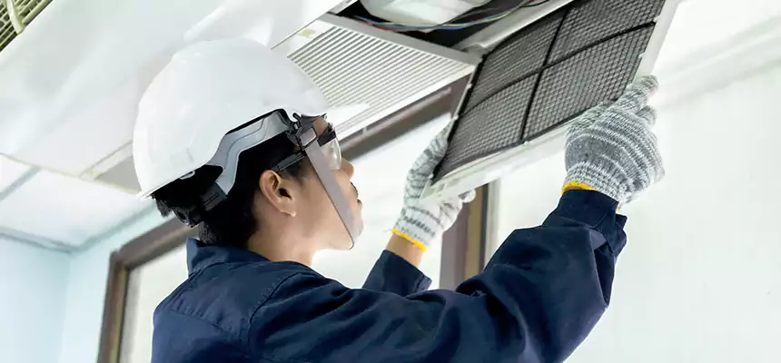 Our Mold & Mildew Removal from Air Ducts Services in Fairhope, AL