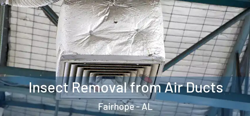  Insect Removal from Air Ducts Fairhope - AL