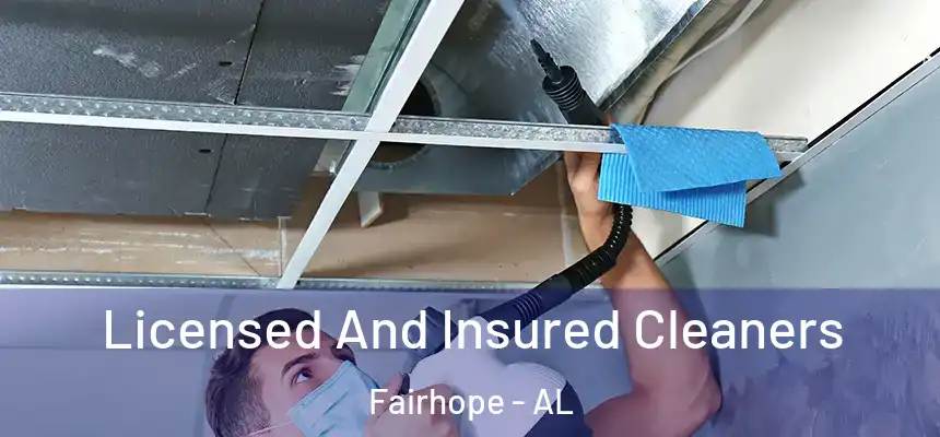 Licensed And Insured Cleaners Fairhope - AL