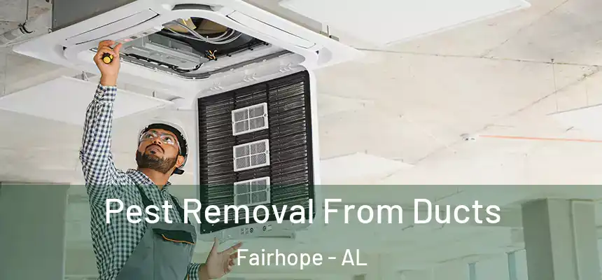  Pest Removal From Ducts Fairhope - AL
