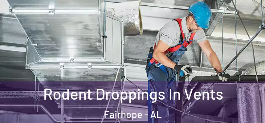 Rodent Droppings In Vents Fairhope - AL