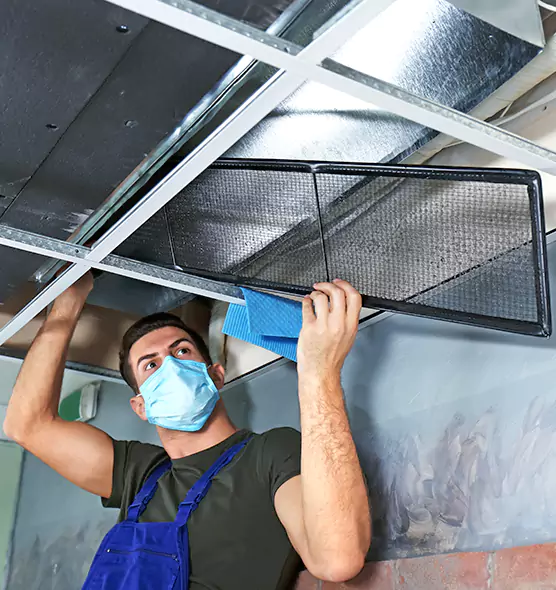 About Air Duct Bacteria Removal in Fairhope
