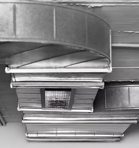 Professional Air Duct Pet Hair Removal in Fairhope, AL