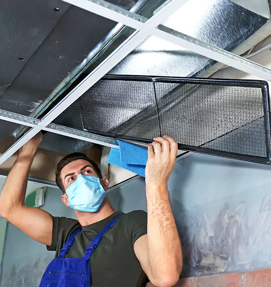 Professional Air Duct Pollen Cleaning in Fairhope, AL