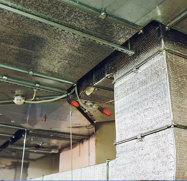 Why Homeowners & Businesses Trust Us in Fairhope, AL?