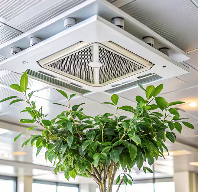 Why Homeowners & Businesses Trust Us in Fairhope, AL