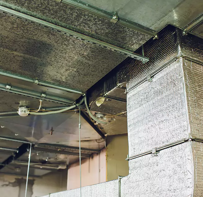 Why Homeowners & Businesses Trust Us in Fairhope, AL?